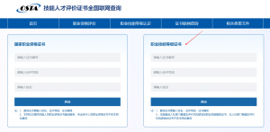 技能等级证书查询